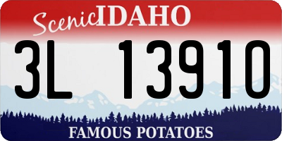 ID license plate 3L1391O