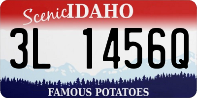 ID license plate 3L1456Q