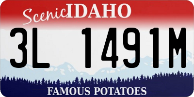ID license plate 3L1491M