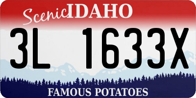 ID license plate 3L1633X