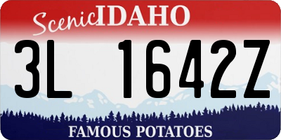 ID license plate 3L1642Z