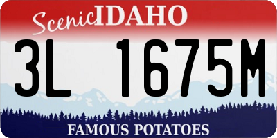 ID license plate 3L1675M