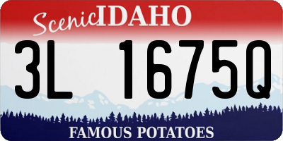 ID license plate 3L1675Q