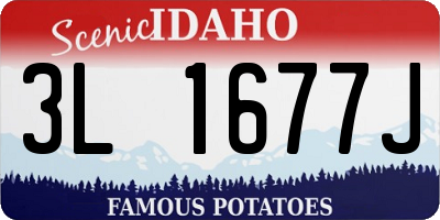 ID license plate 3L1677J