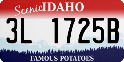 ID license plate 3L1725B