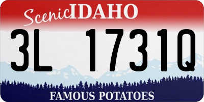 ID license plate 3L1731Q