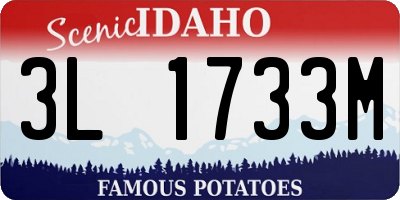 ID license plate 3L1733M