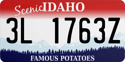 ID license plate 3L1763Z