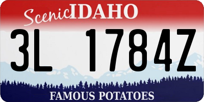ID license plate 3L1784Z