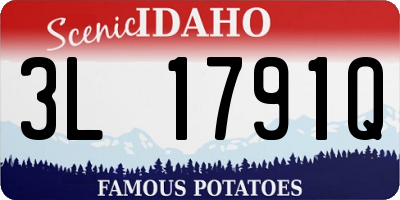 ID license plate 3L1791Q