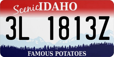 ID license plate 3L1813Z