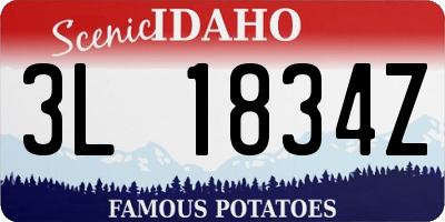 ID license plate 3L1834Z