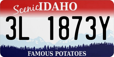 ID license plate 3L1873Y