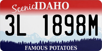 ID license plate 3L1898M