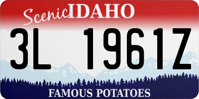 ID license plate 3L1961Z