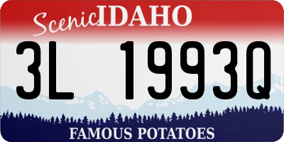 ID license plate 3L1993Q
