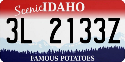 ID license plate 3L2133Z