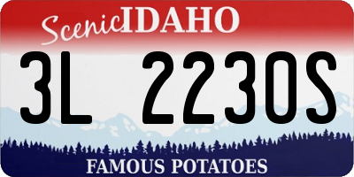 ID license plate 3L2230S