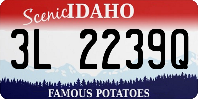 ID license plate 3L2239Q