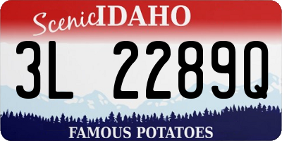ID license plate 3L2289Q
