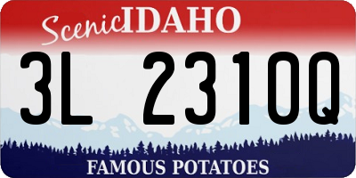 ID license plate 3L2310Q
