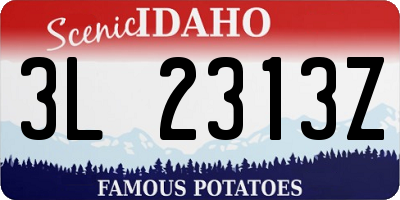 ID license plate 3L2313Z