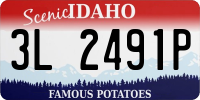 ID license plate 3L2491P
