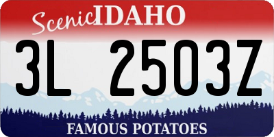 ID license plate 3L2503Z