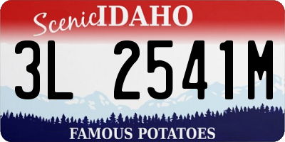 ID license plate 3L2541M