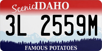 ID license plate 3L2559M