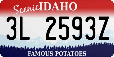 ID license plate 3L2593Z