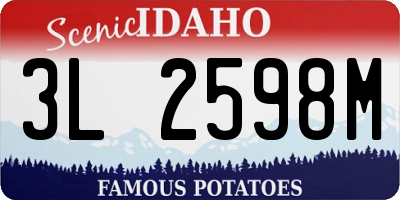 ID license plate 3L2598M
