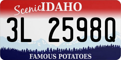 ID license plate 3L2598Q