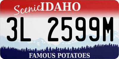 ID license plate 3L2599M