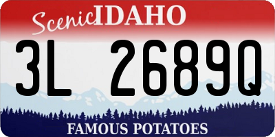 ID license plate 3L2689Q