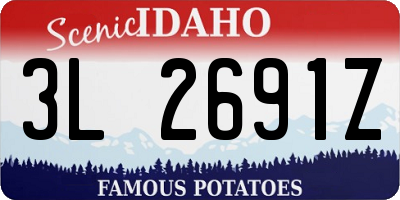 ID license plate 3L2691Z