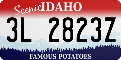 ID license plate 3L2823Z