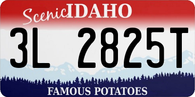 ID license plate 3L2825T