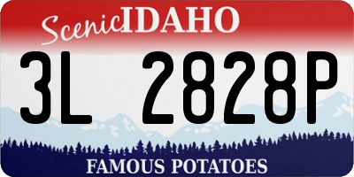 ID license plate 3L2828P