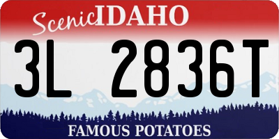 ID license plate 3L2836T