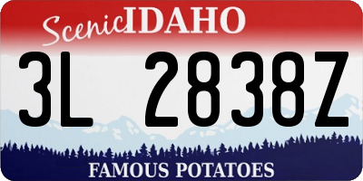 ID license plate 3L2838Z