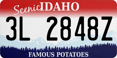 ID license plate 3L2848Z