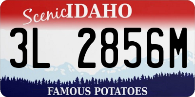 ID license plate 3L2856M
