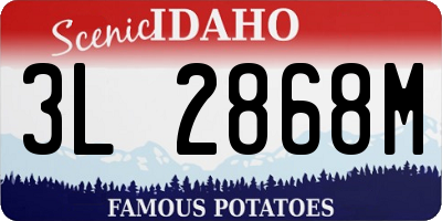 ID license plate 3L2868M