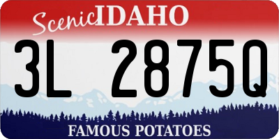 ID license plate 3L2875Q