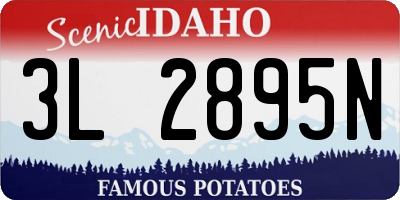 ID license plate 3L2895N