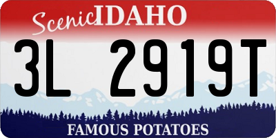 ID license plate 3L2919T