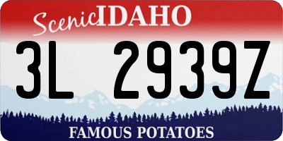 ID license plate 3L2939Z