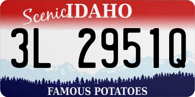ID license plate 3L2951Q