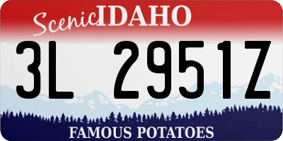ID license plate 3L2951Z